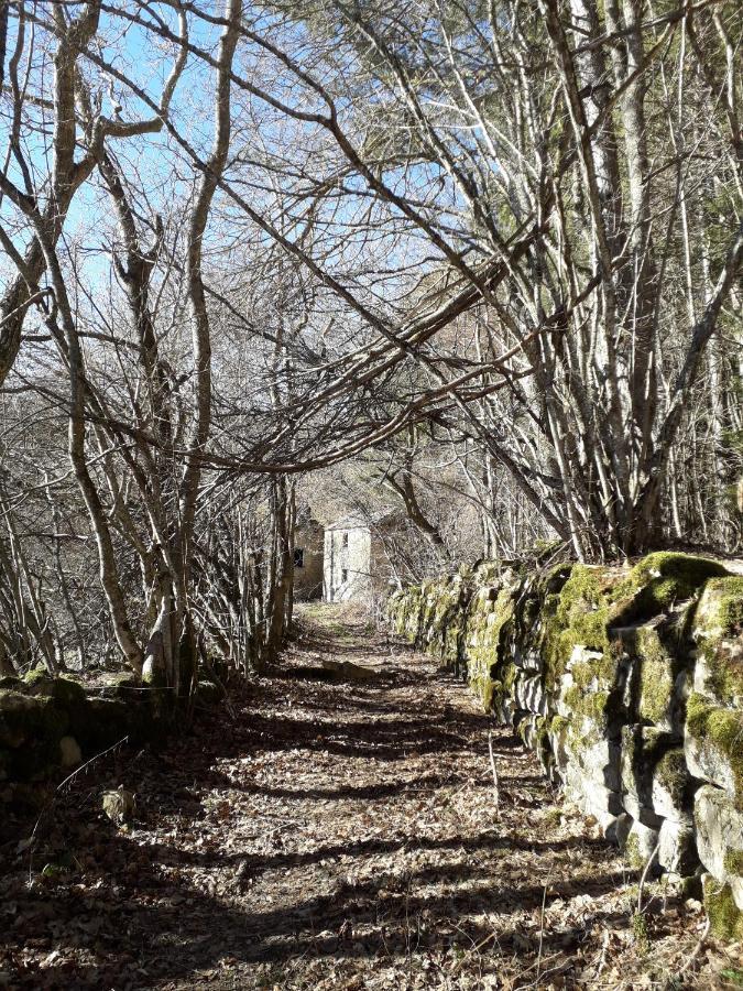 La Tana Del Picchio Villa Neviano degli Arduini Eksteriør bilde