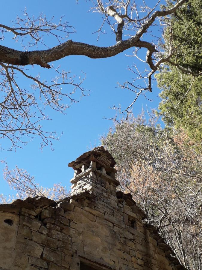 La Tana Del Picchio Villa Neviano degli Arduini Eksteriør bilde