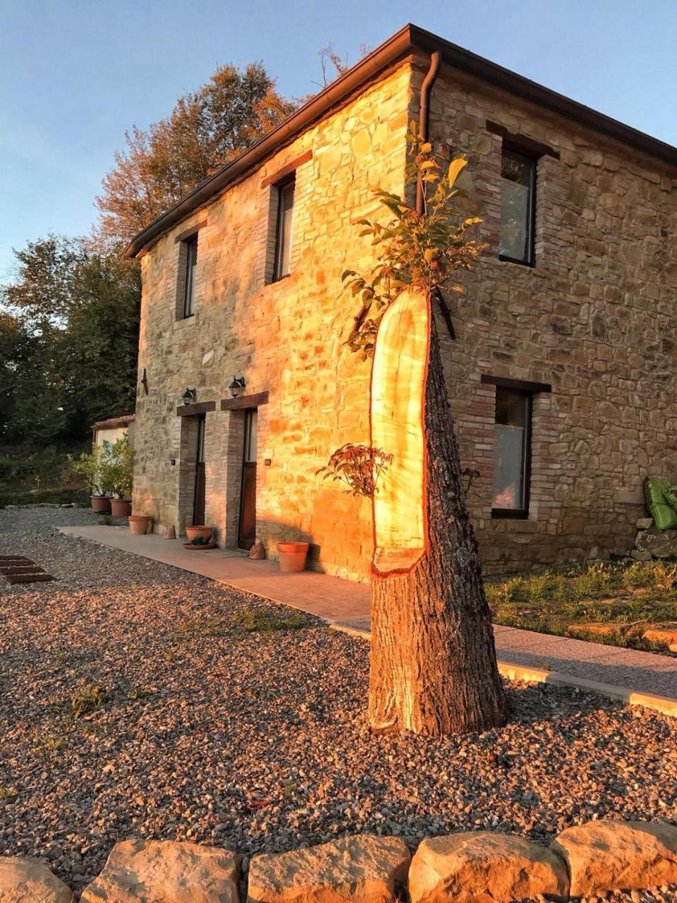 La Tana Del Picchio Villa Neviano degli Arduini Eksteriør bilde